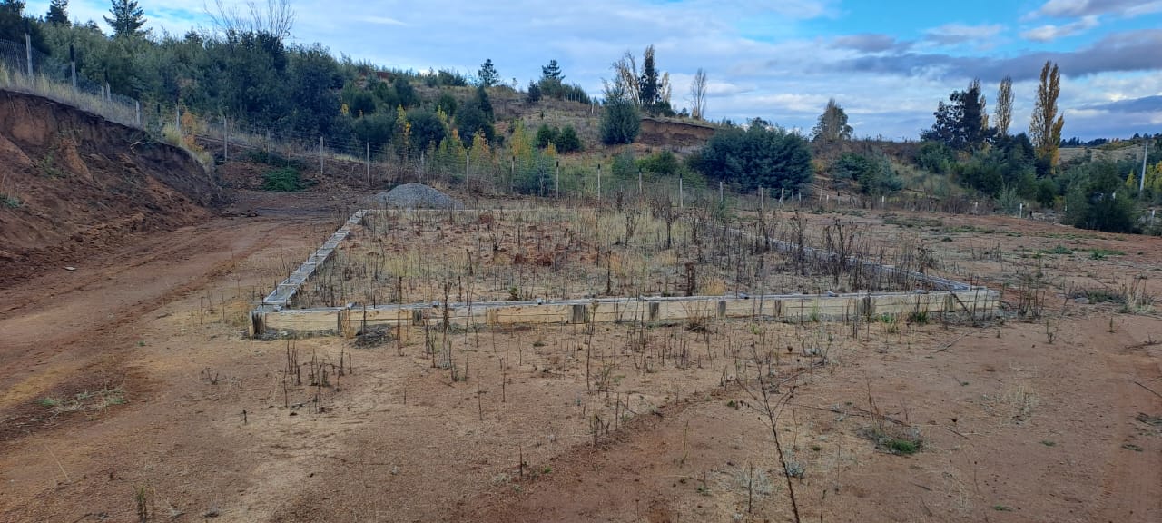 Galería de Imágenes