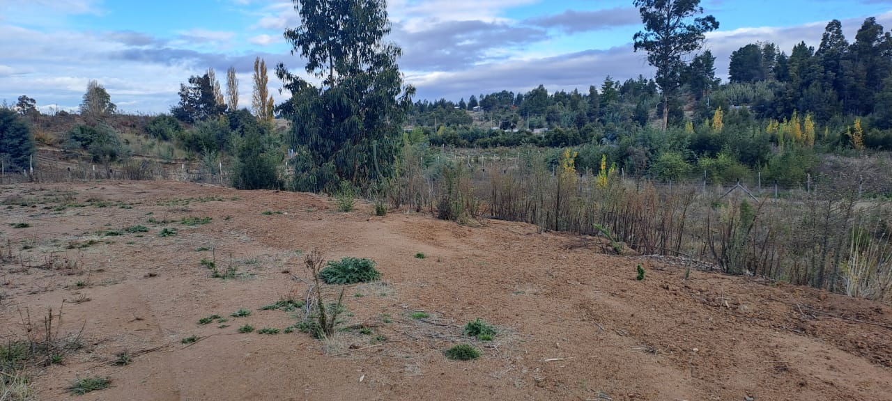 Galería de Imágenes